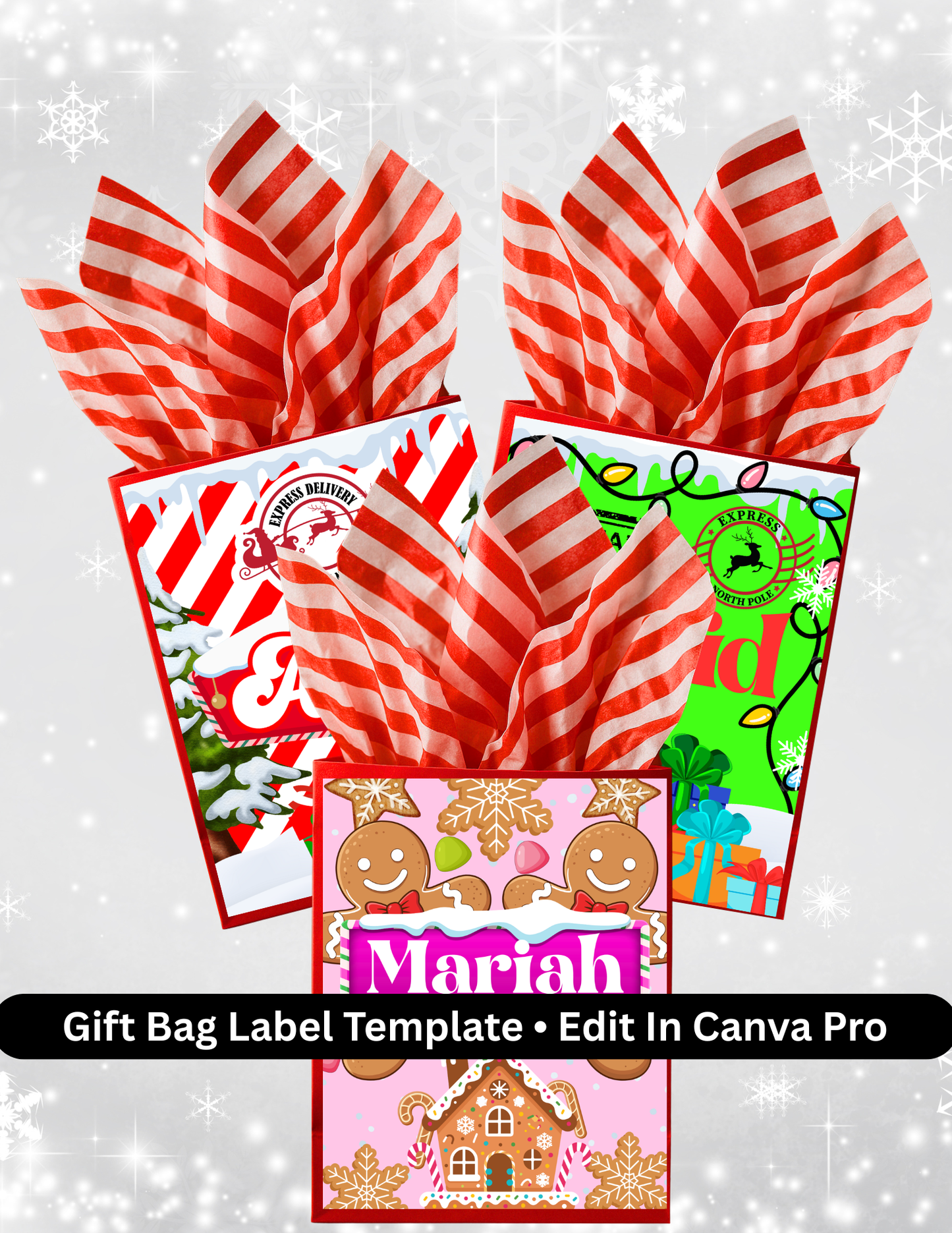 3-Pack Christmas Party Bag Template Bundle